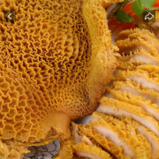 Stewed Beef Honeycomb<br />卤峰窝肚